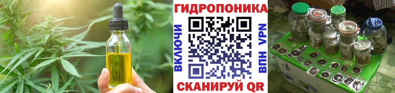 KRAKEN сайт  Порхов  Canna-Cookies марихуана 