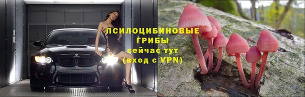 гашик Арсеньев