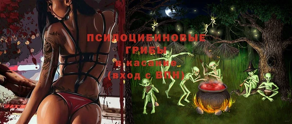 прущие крисы Армянск