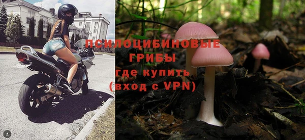гашик Арсеньев
