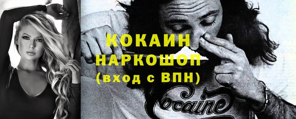 гашик Арсеньев