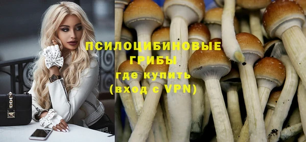 гашик Арсеньев